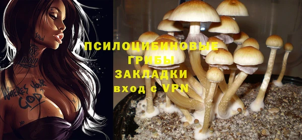 амфетамин Гусь-Хрустальный