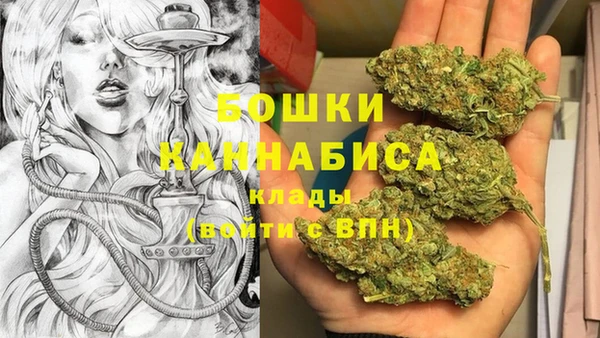 бошки Гусев